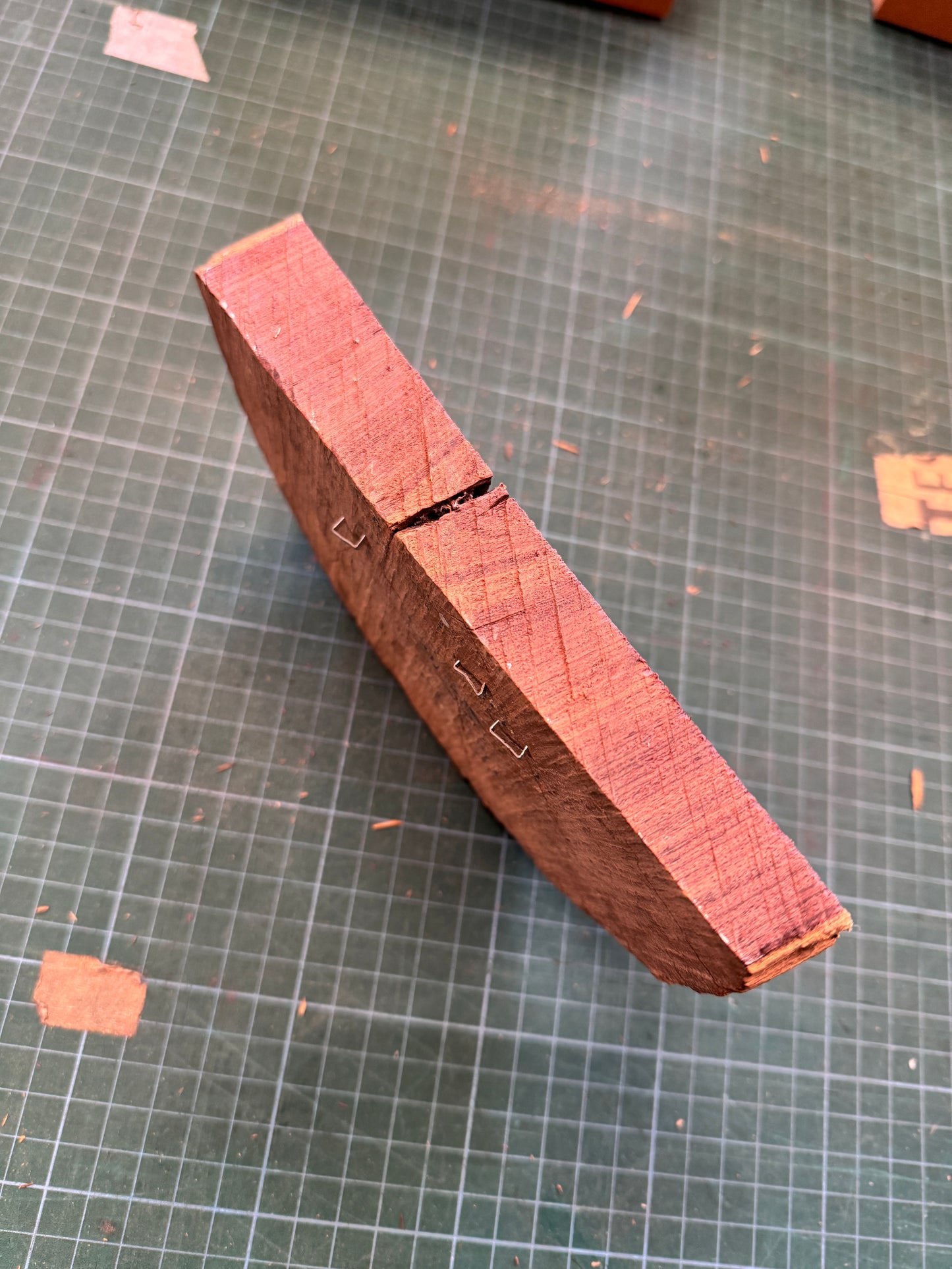 Brazilian Kingwood Offcut #2