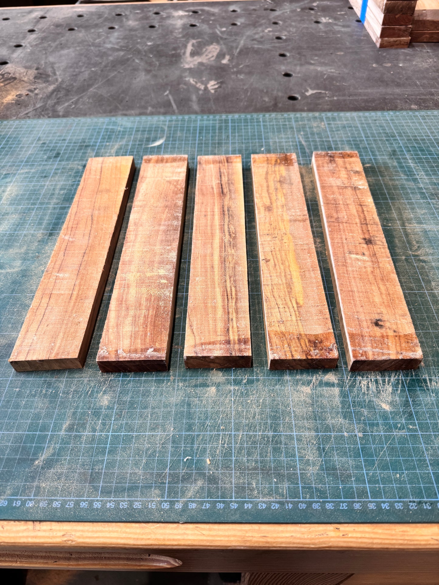 Olivewood Offcuts - OW05