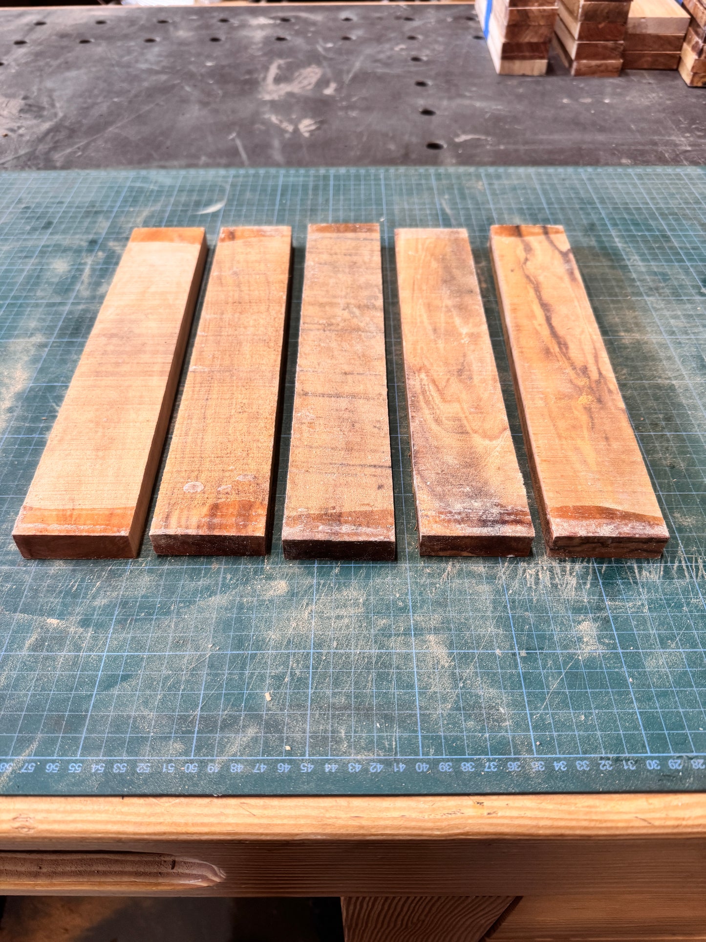 Olivewood Offcuts - OW06