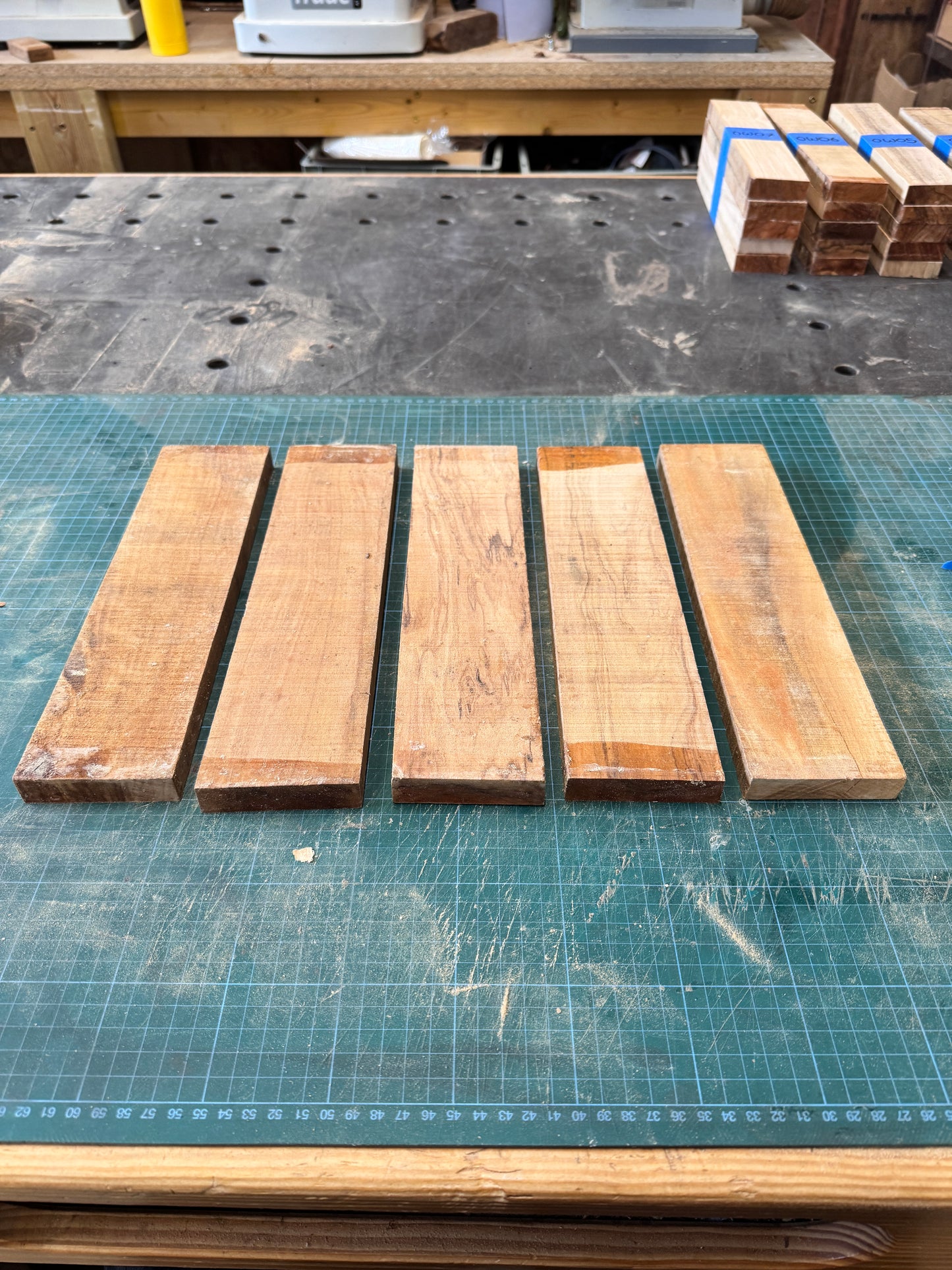 Olivewood Offcuts - OW08