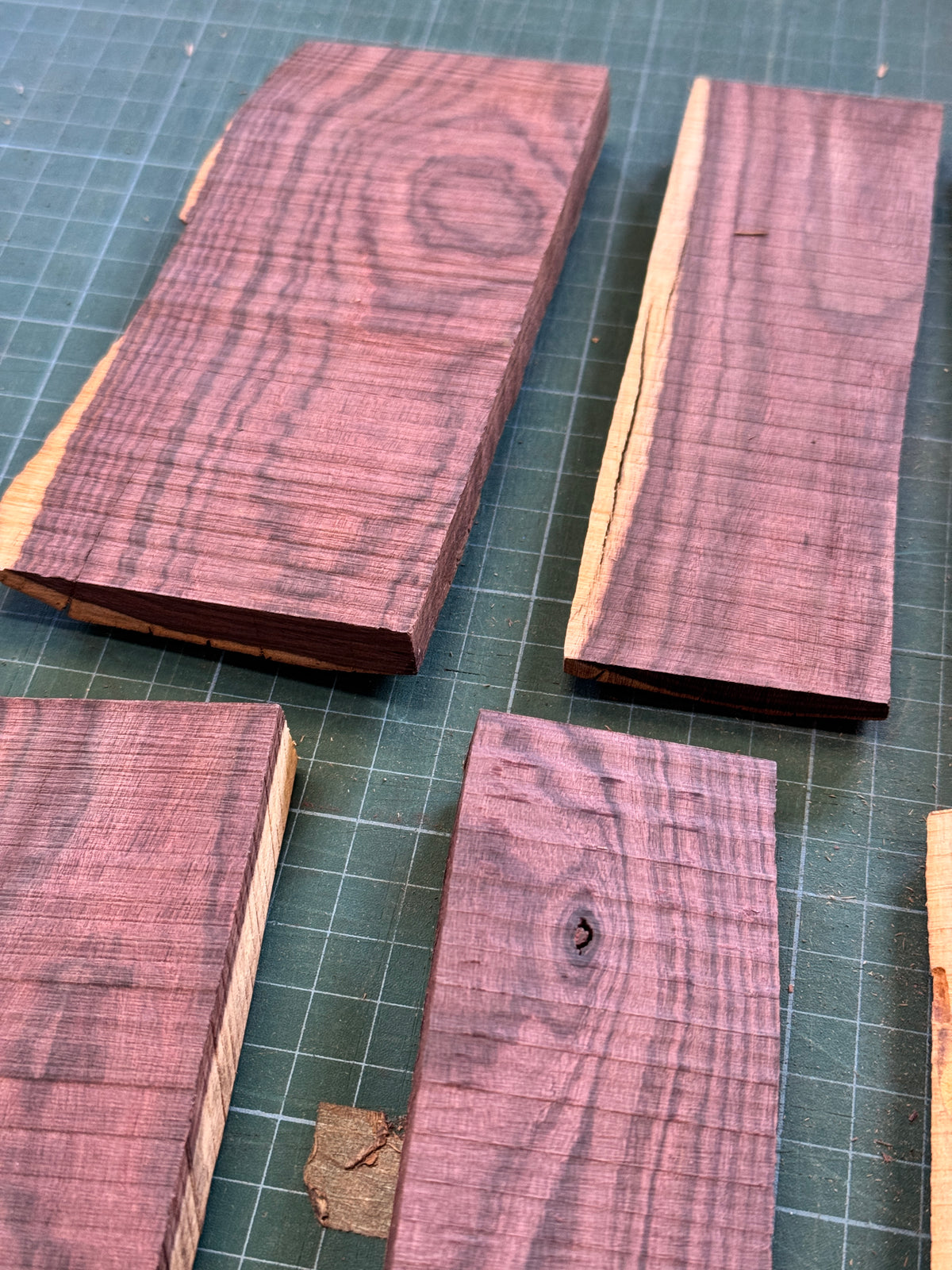 Brazilian Kingwood Offcuts #5