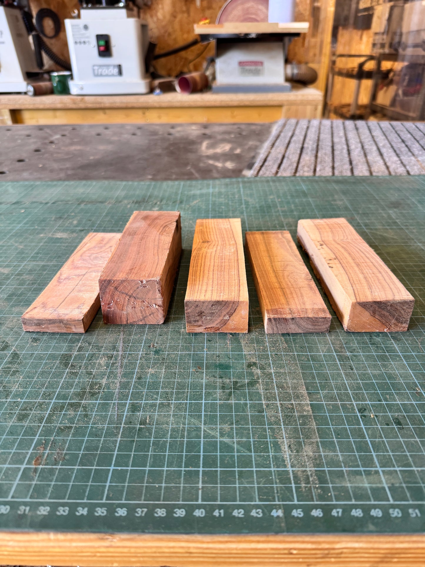 African Wild Olivewood Offcuts