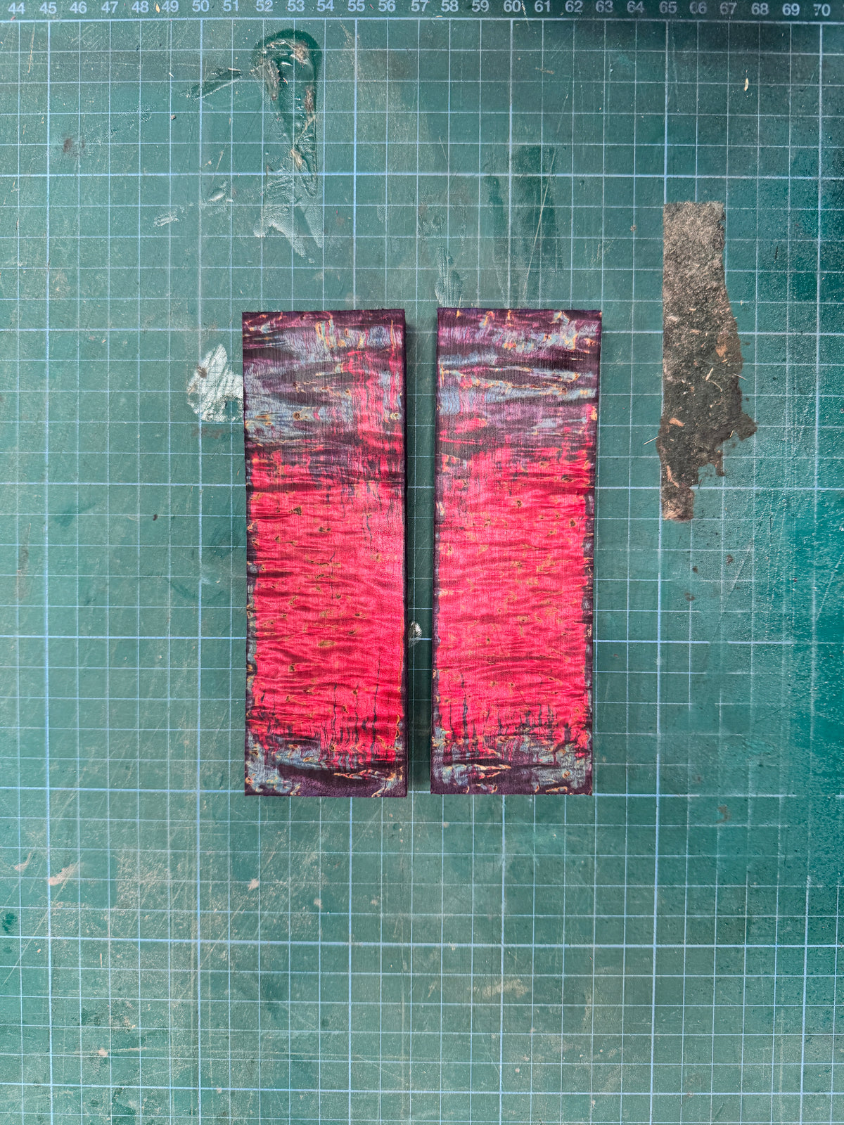 Stabilised Masur Birch Scales
