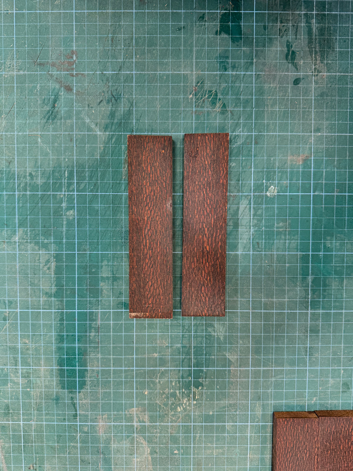 Stabilised Ropalo Lacewood Scales