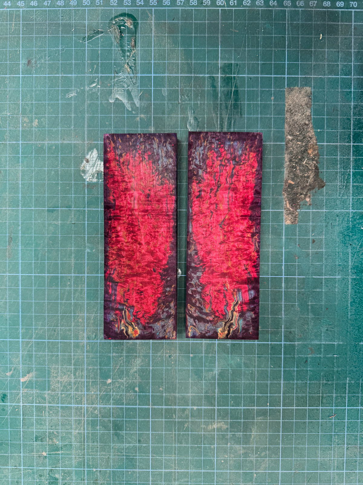 Stabilised Masur Birch Scales