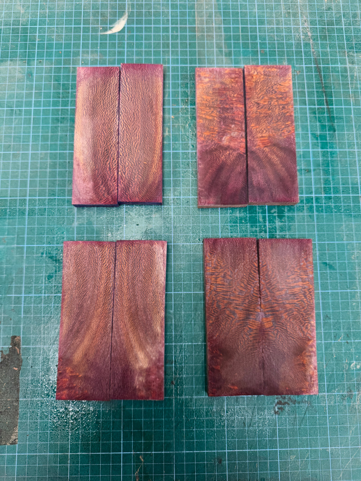 Stabilised London Plane Scales