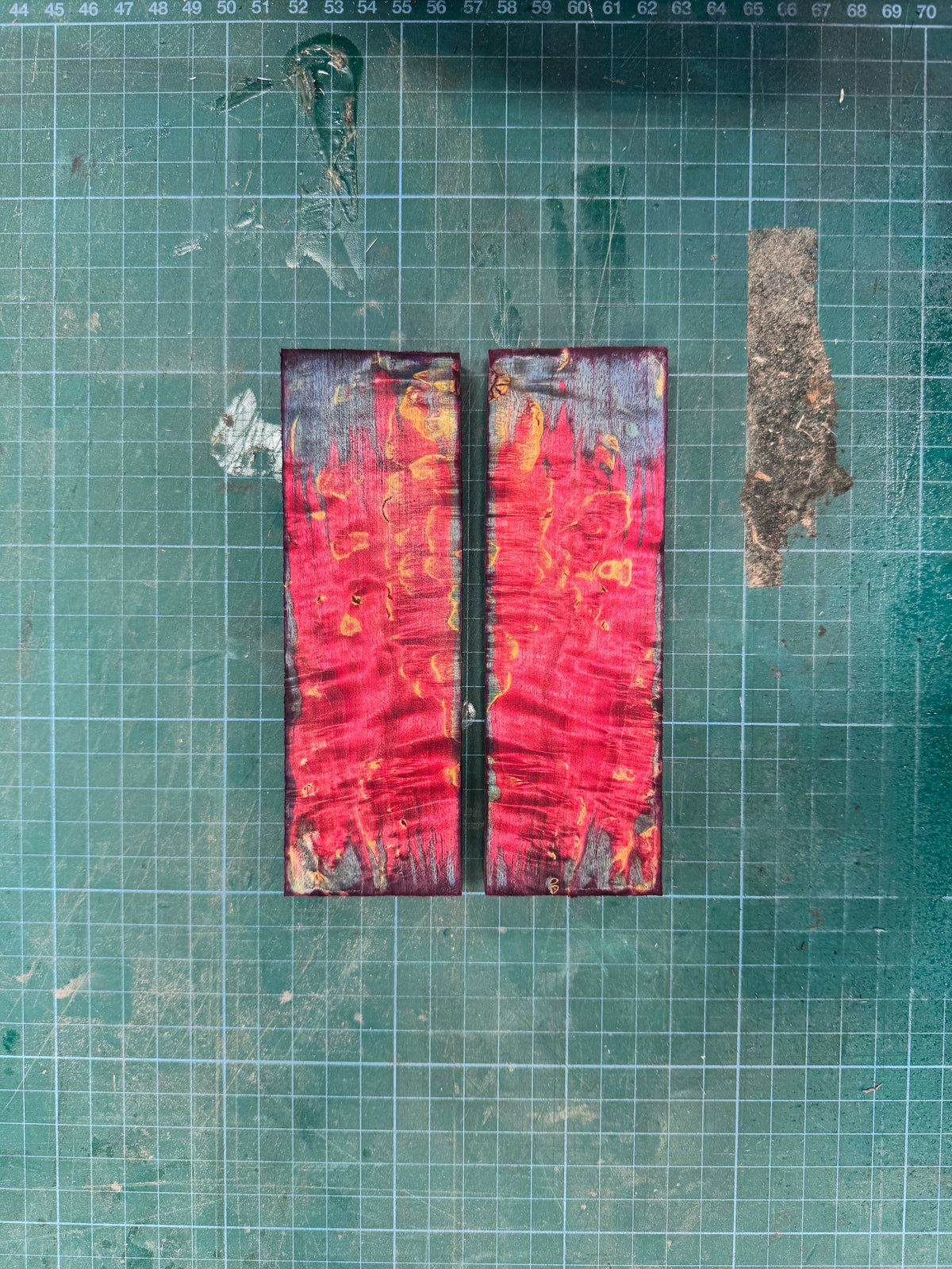 Stabilised Masur Birch Scales