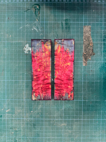 Stabilised Masur Birch Scales