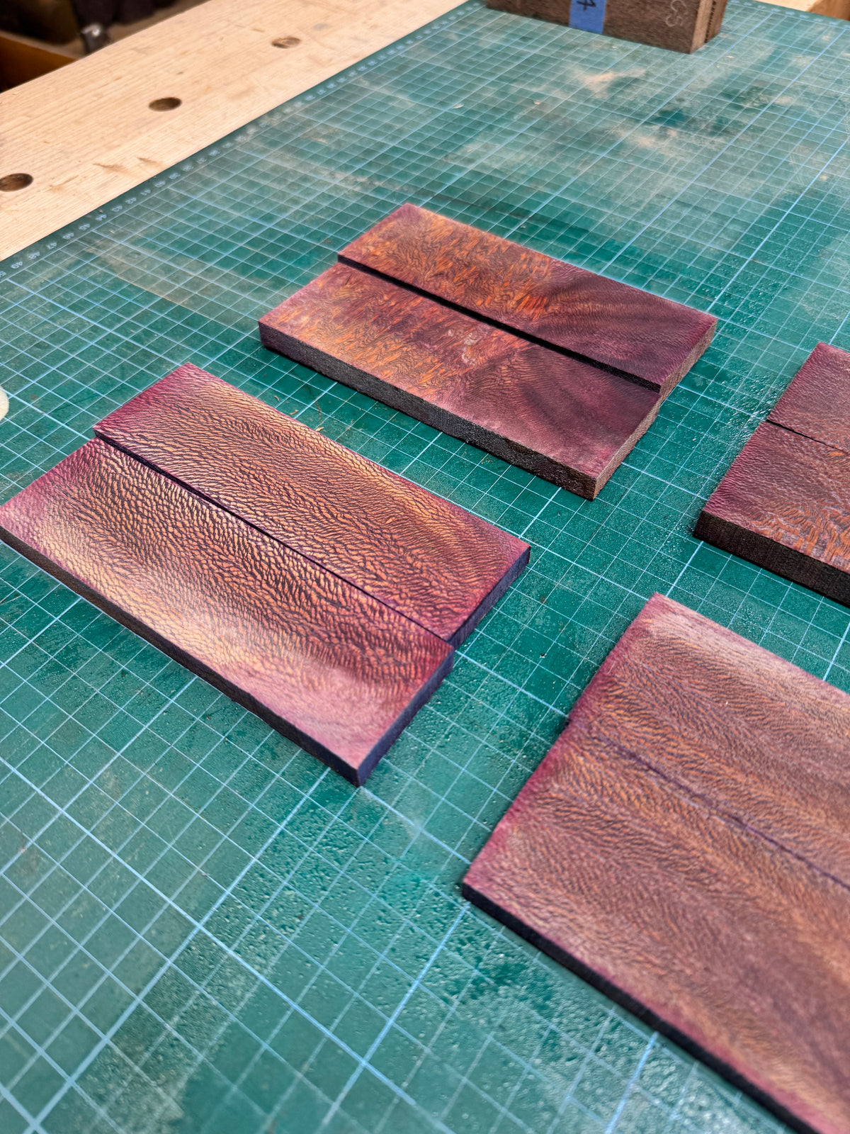 Stabilised London Plane Scales