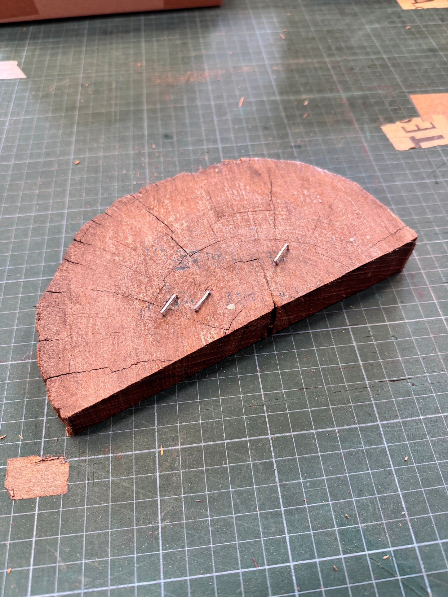 Brazilian Kingwood Offcut #2