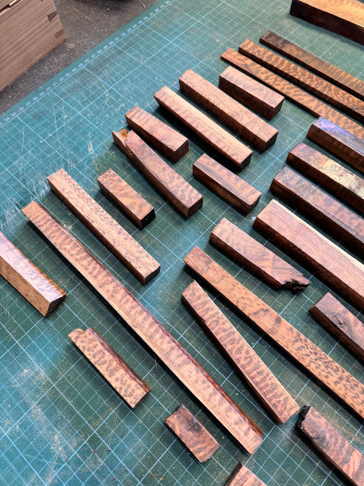 Snakewood Offcuts 3