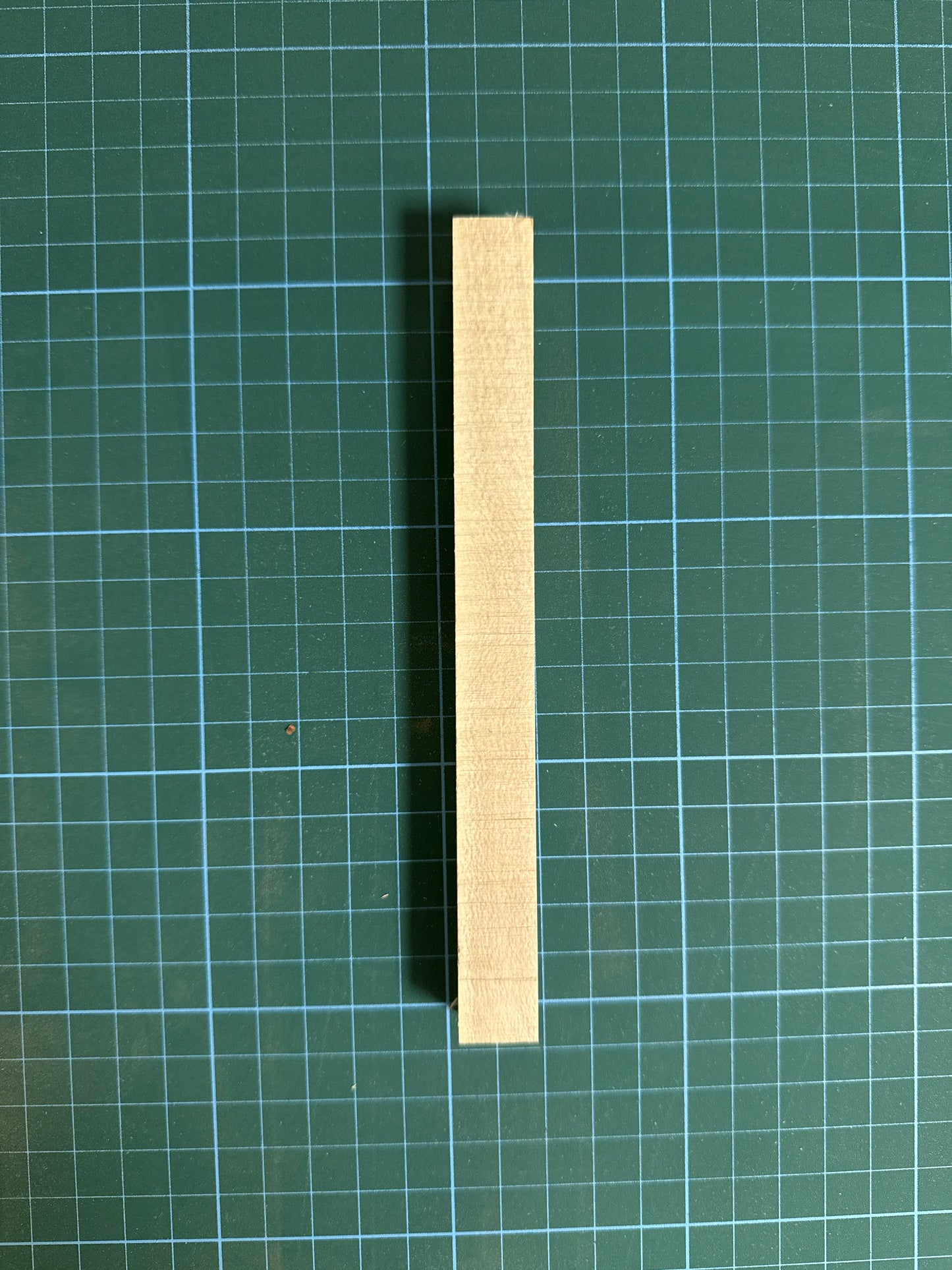 Holly Pen Blank (Slim)