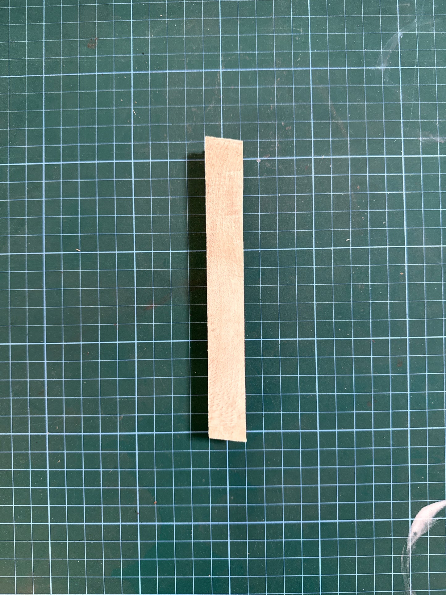 Holly Pen Blank (150x20x20mm)