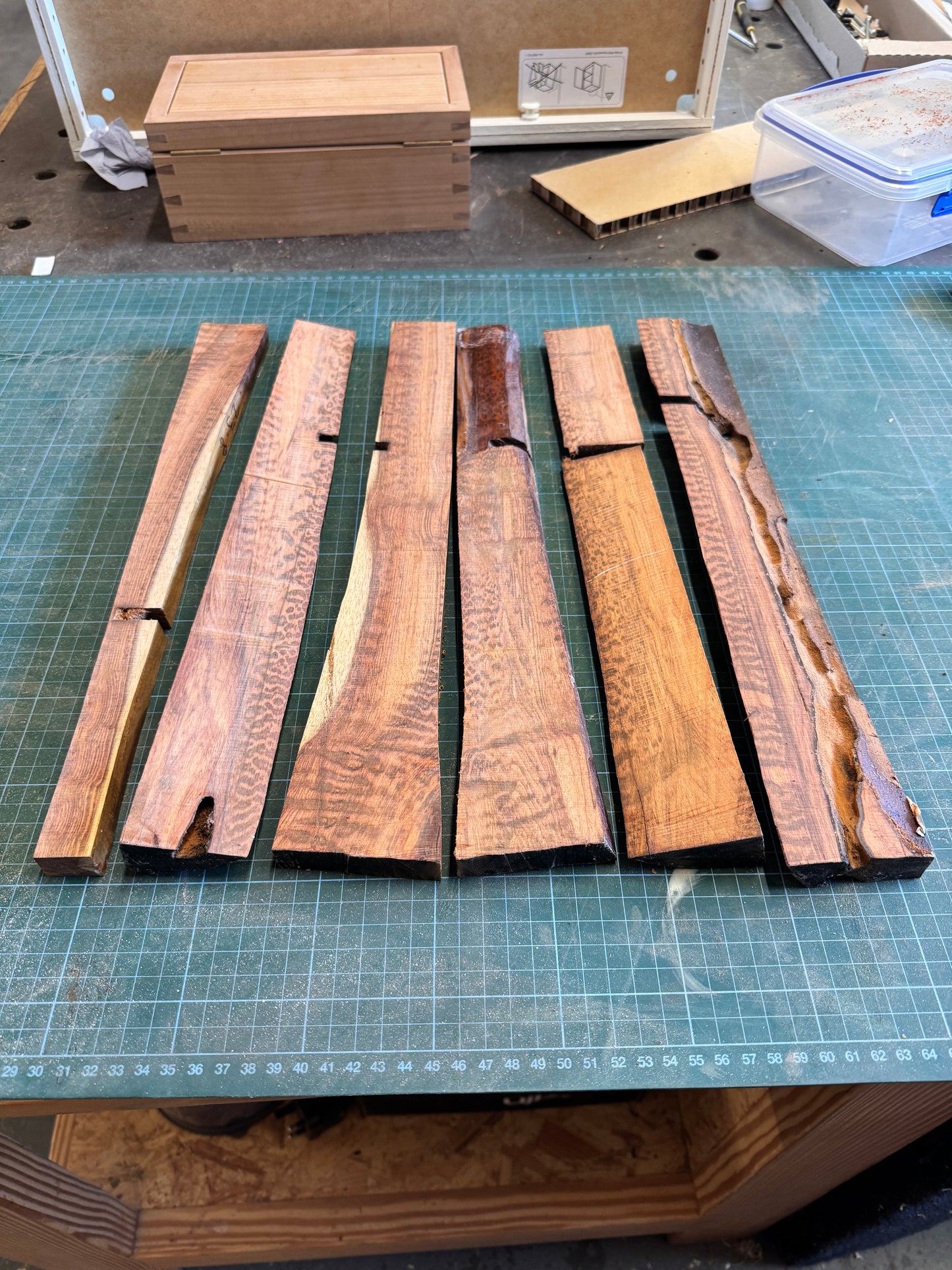 Snakewood Offcuts 1