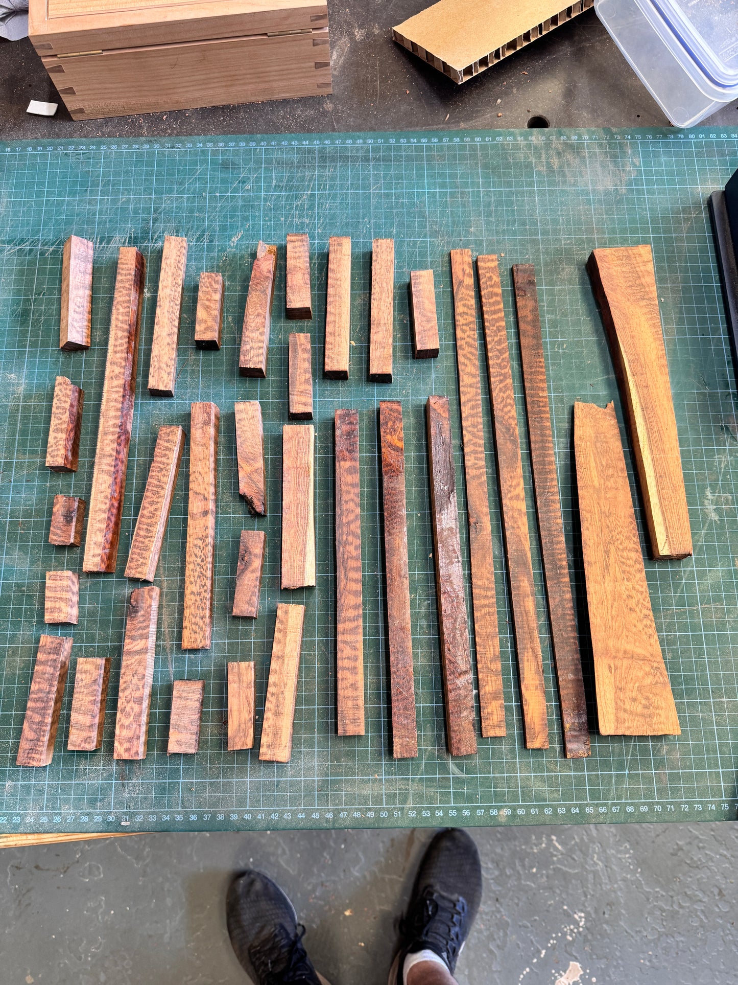 Snakewood Offcuts 3