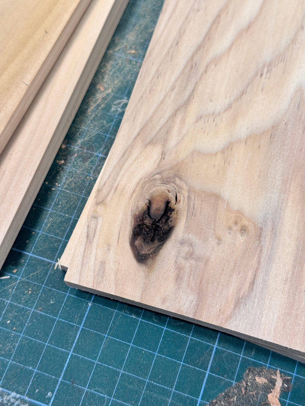 Poplar Thins (POPTH1)