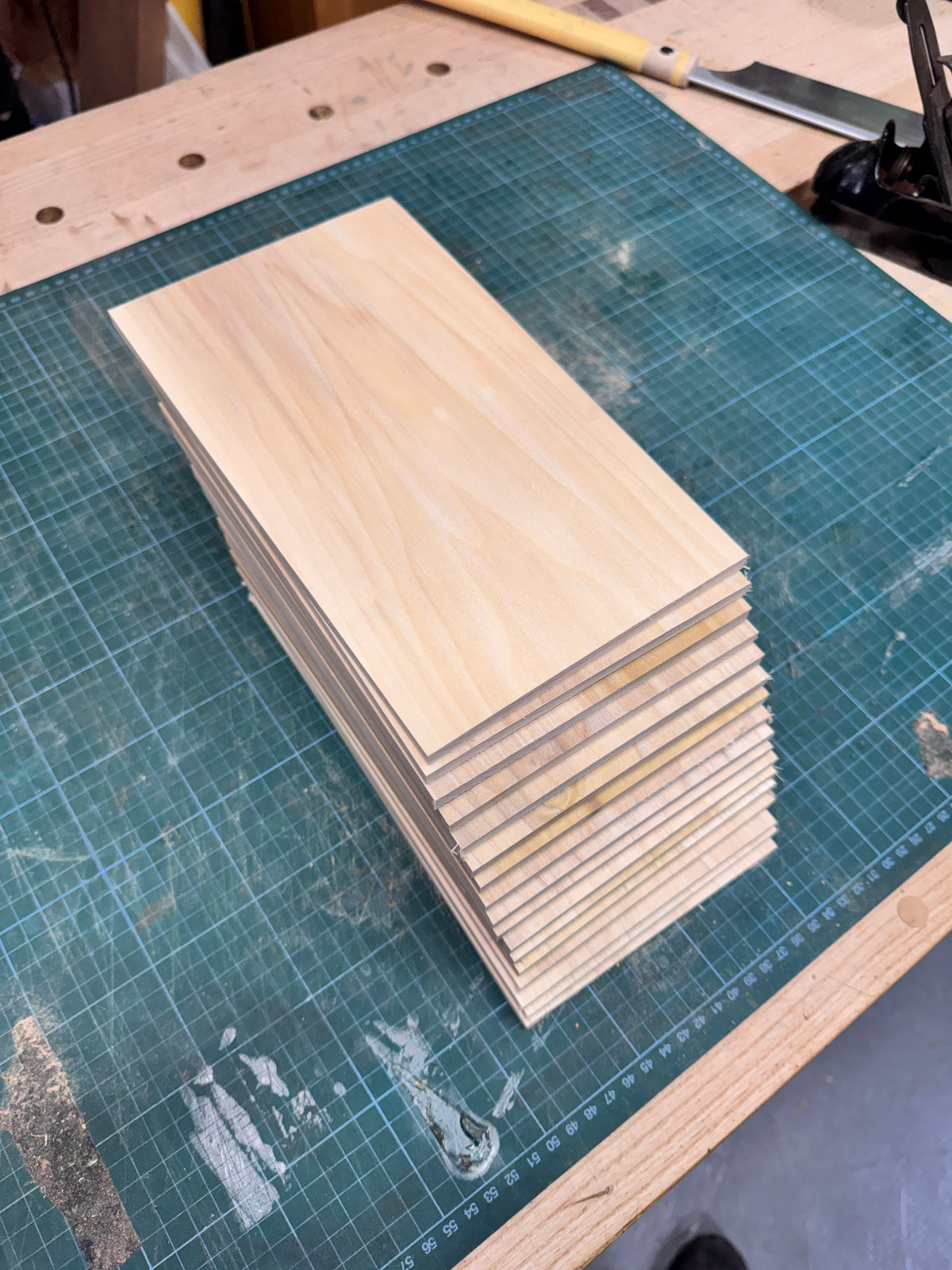 Poplar Thins (POPTH1)