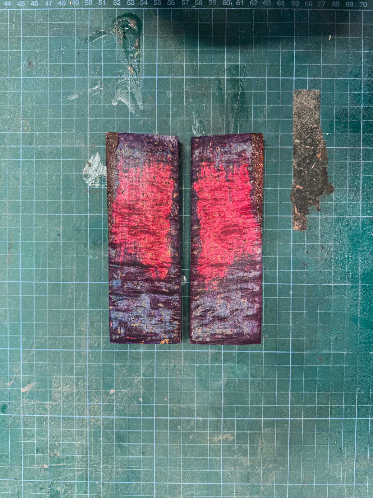 Stabilised Masur Birch Scales