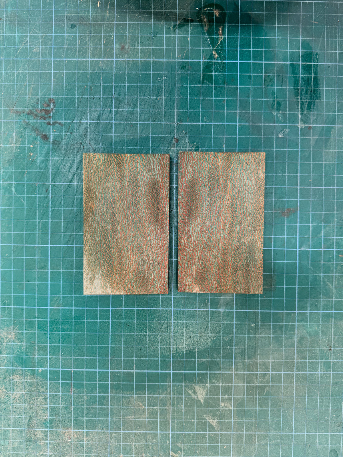 Stabilised London Plane Scales