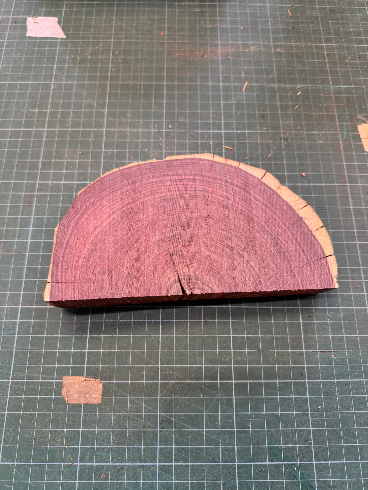 Brazilian Kingwood Offcut #2