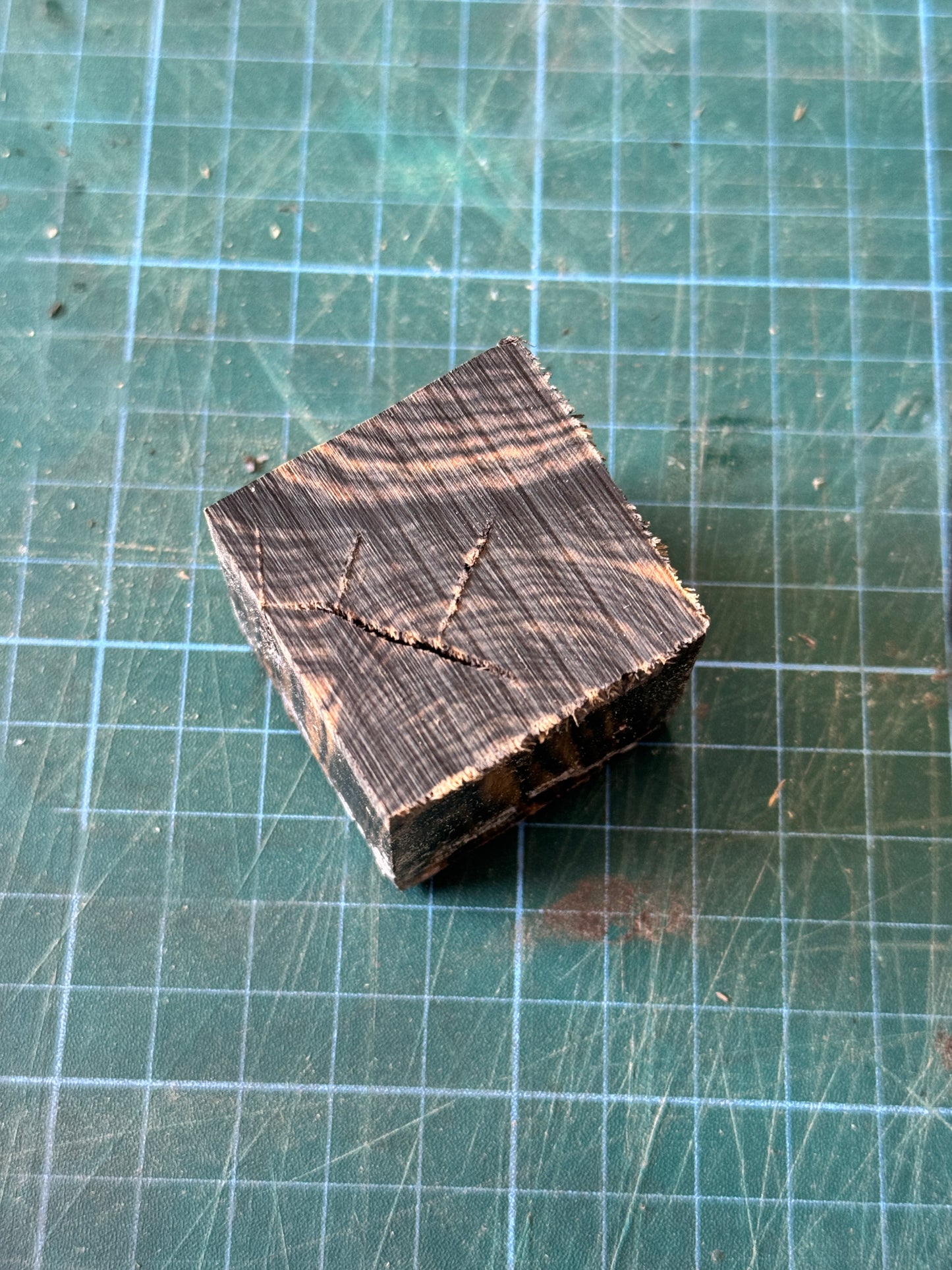 Pale Moon Ebony Offcuts - PM02