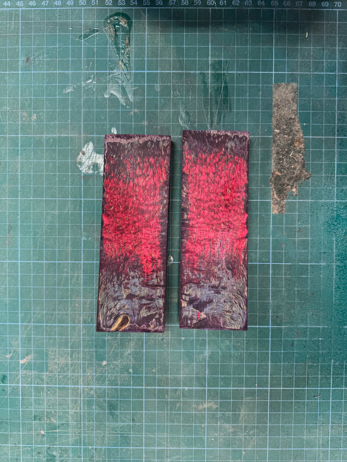 Stabilised Masur Birch Scales