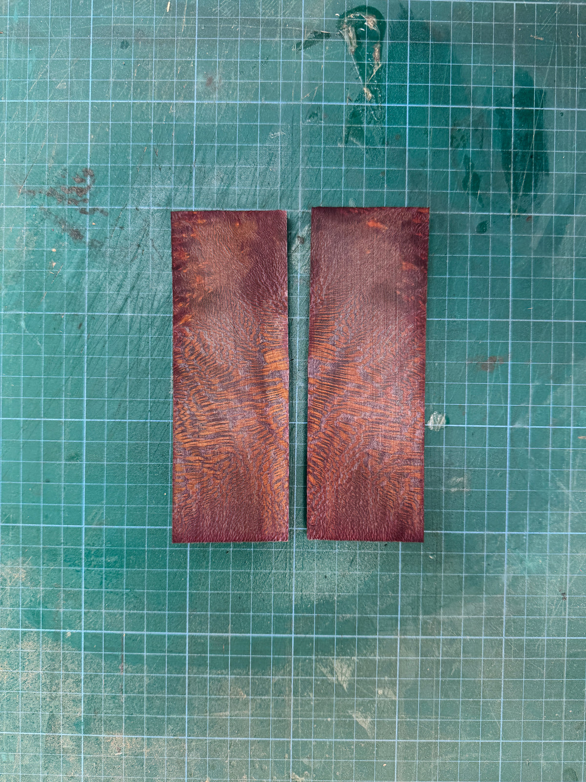 Stabilised London Plane Scales