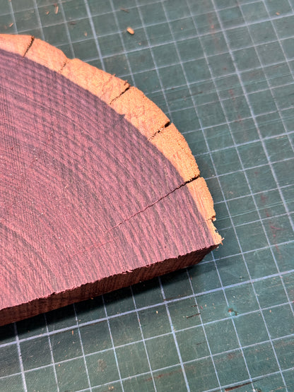Brazilian Kingwood Offcut #2