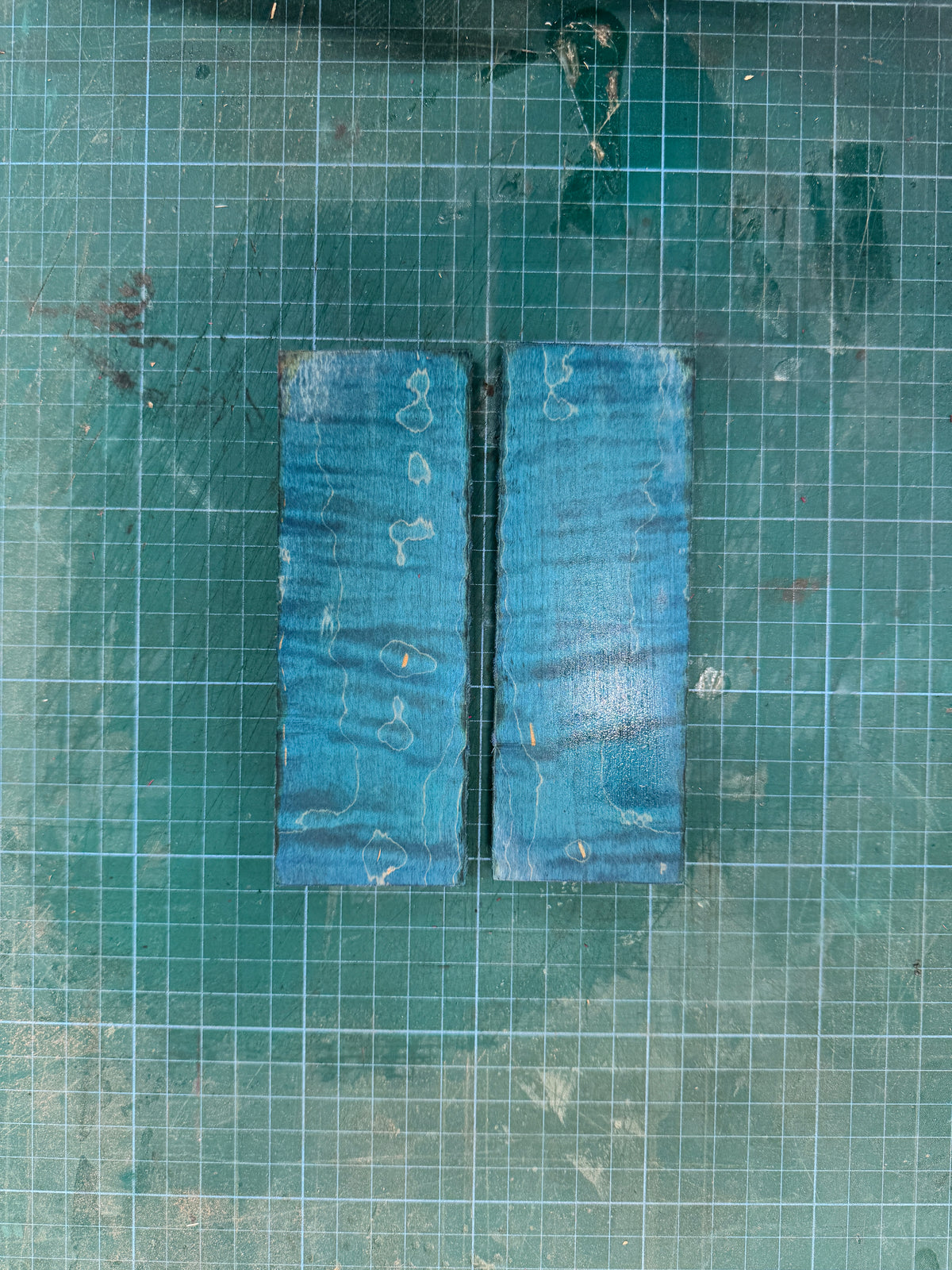 Blue Stabilised Curly Maple Scales