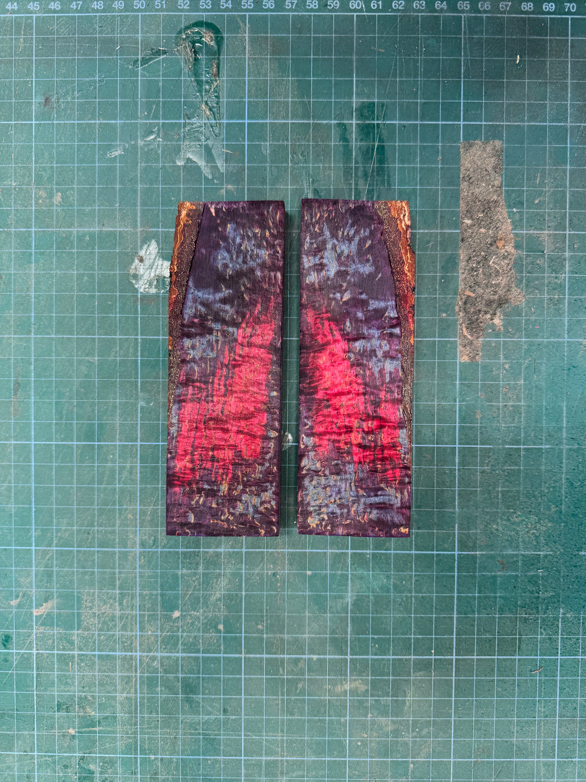 Stabilised Masur Birch Scales
