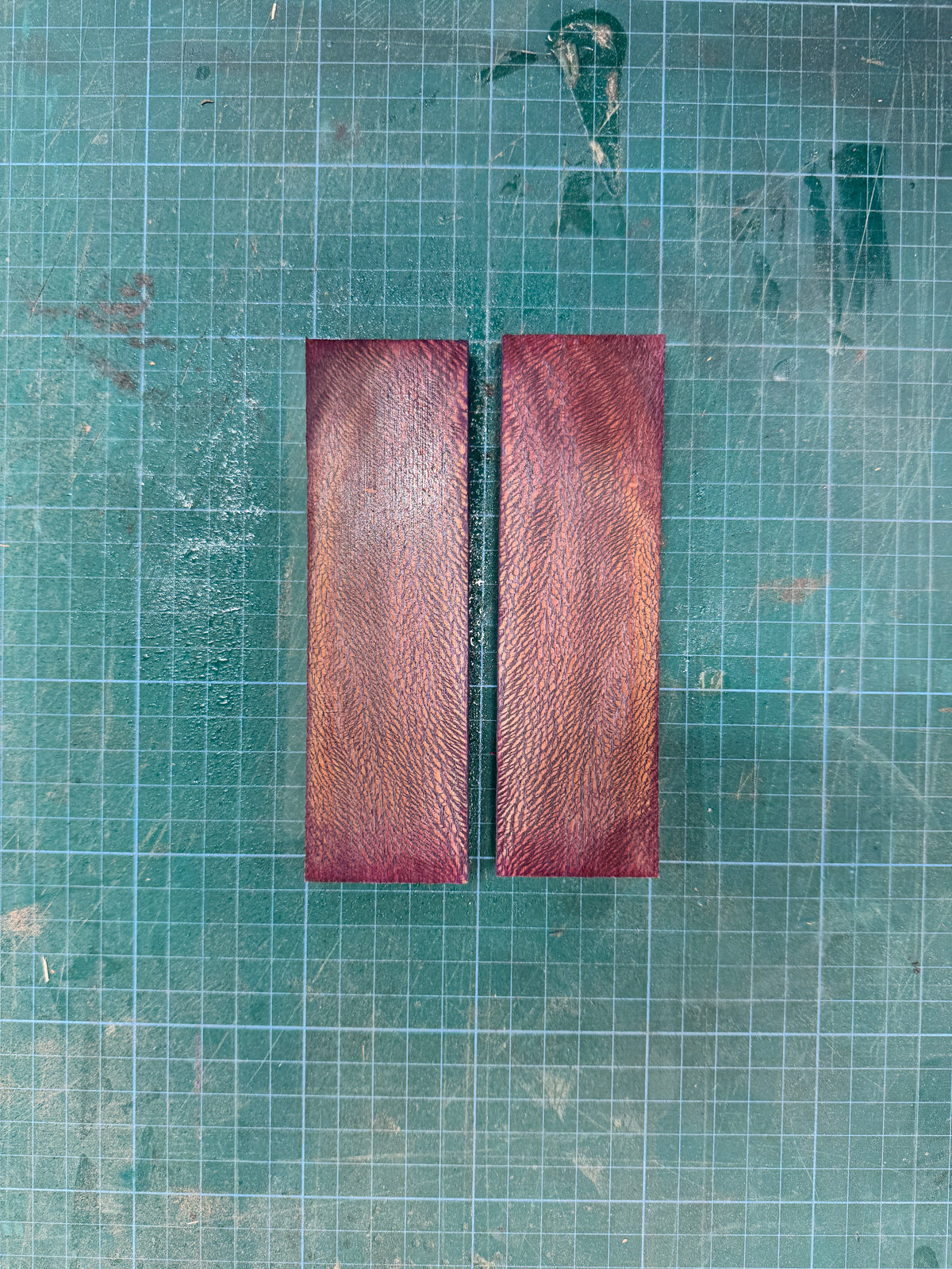 Stabilised London Plane Scales