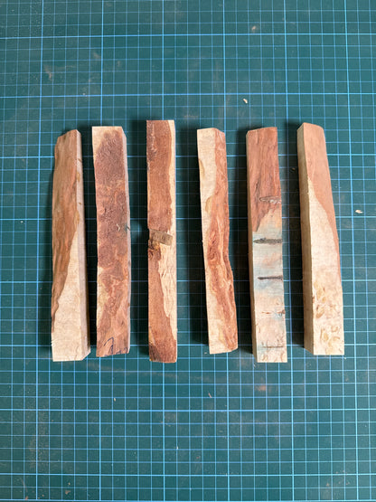 Masur Birch Live Edge Offcuts