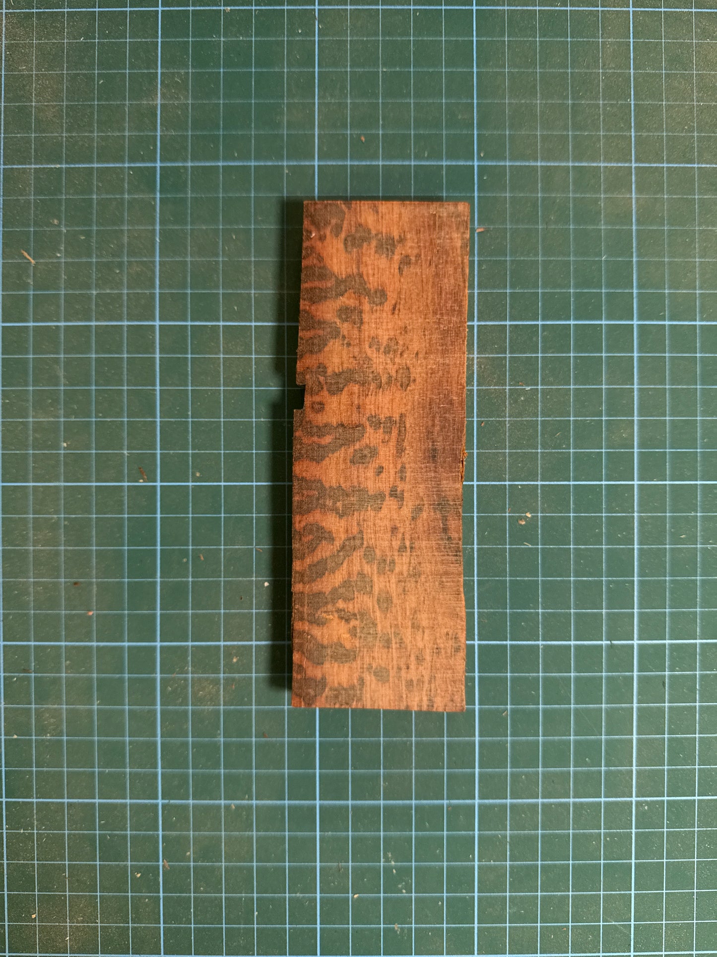 Snakewood Offcut