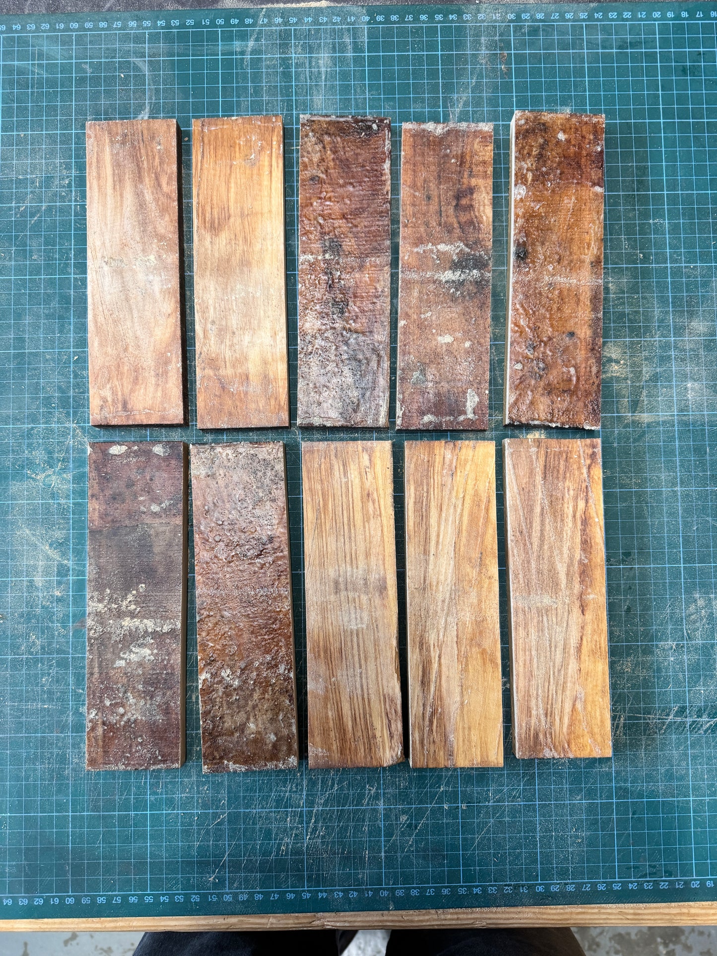 Olivewood Offcuts - OW11