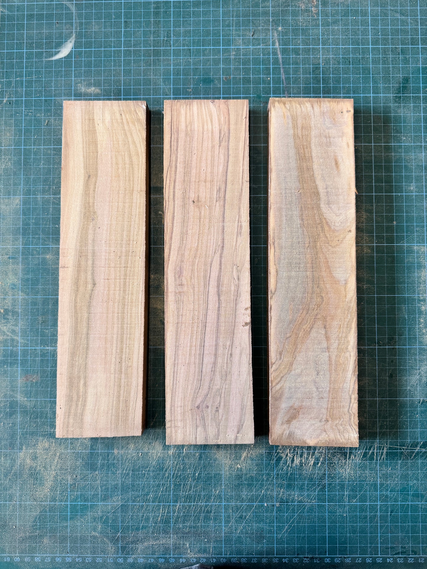 Olivewood Offcuts - OW03