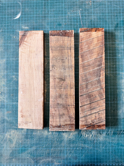 Olivewood Offcuts - OW03