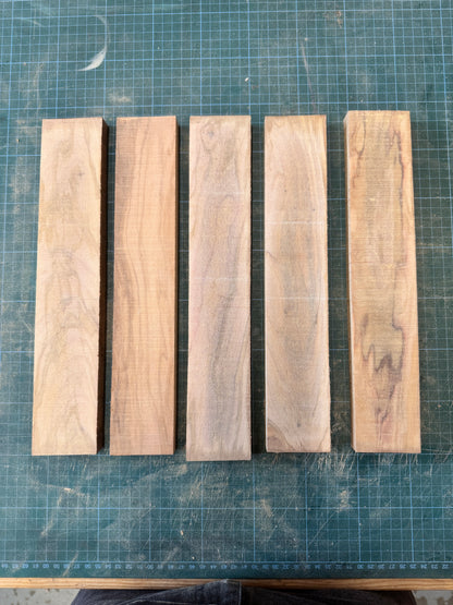 Olivewood Offcuts - OW06