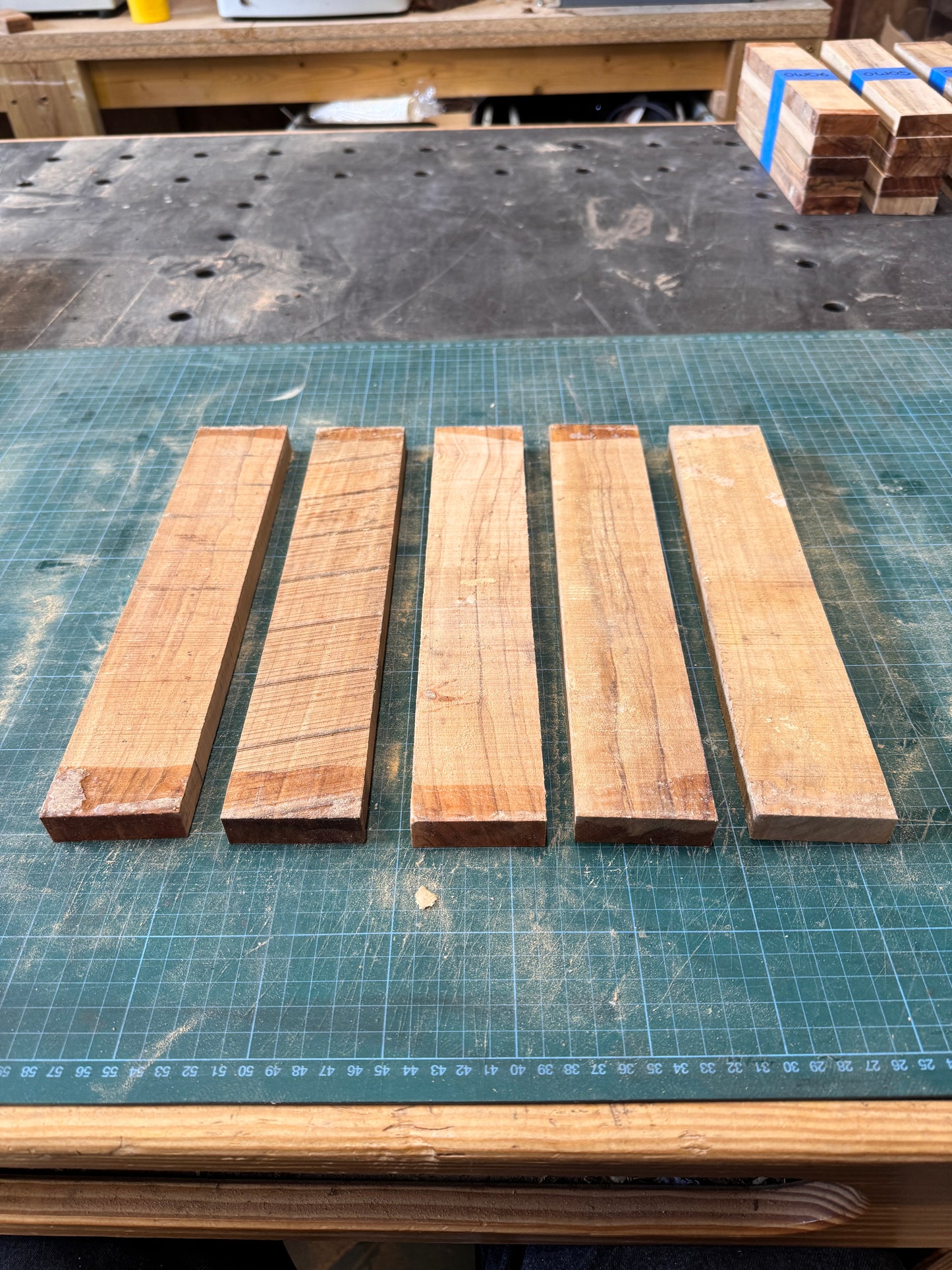 Olivewood Offcuts - OW07