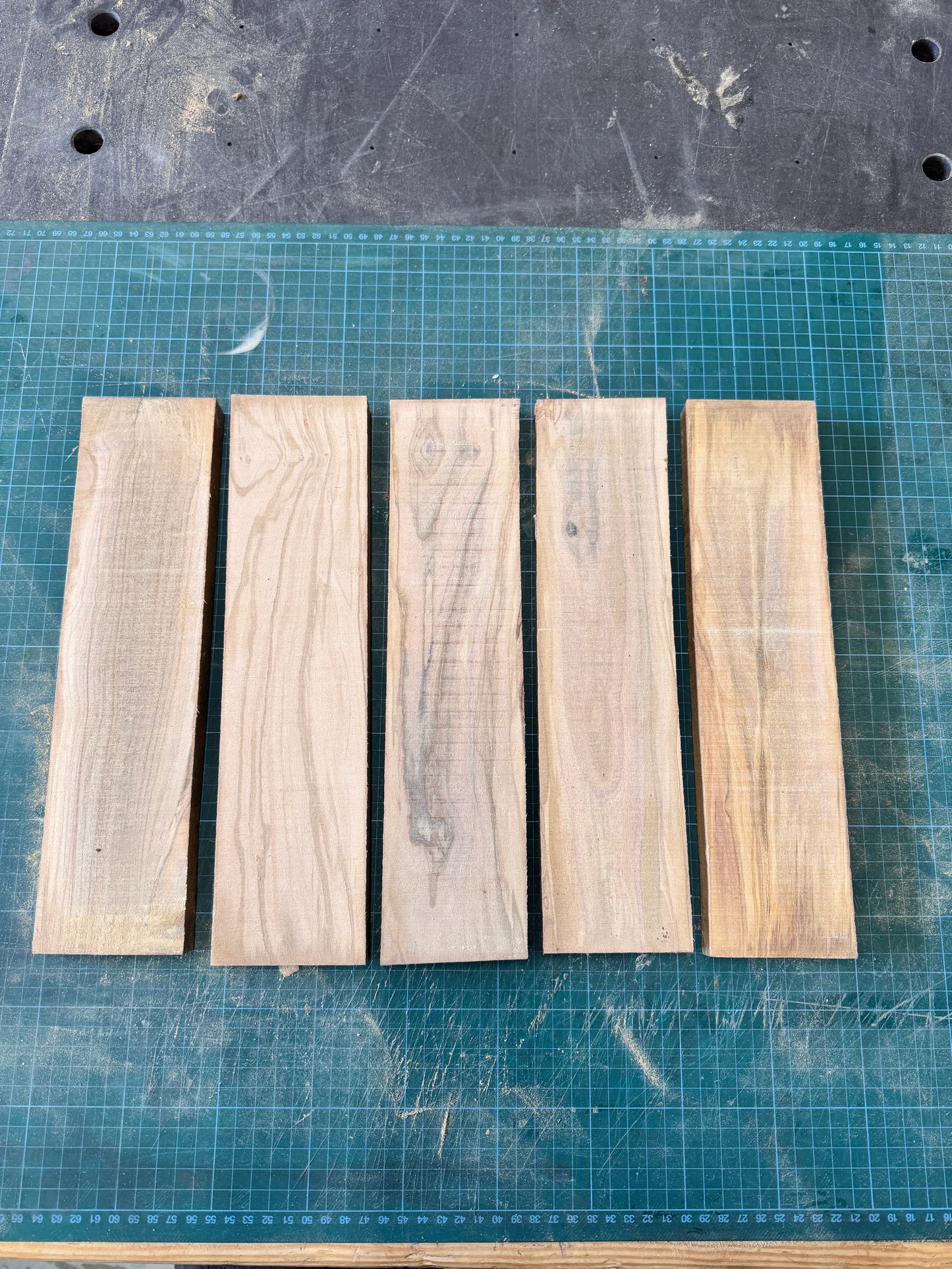 Olivewood Offcuts - OW08