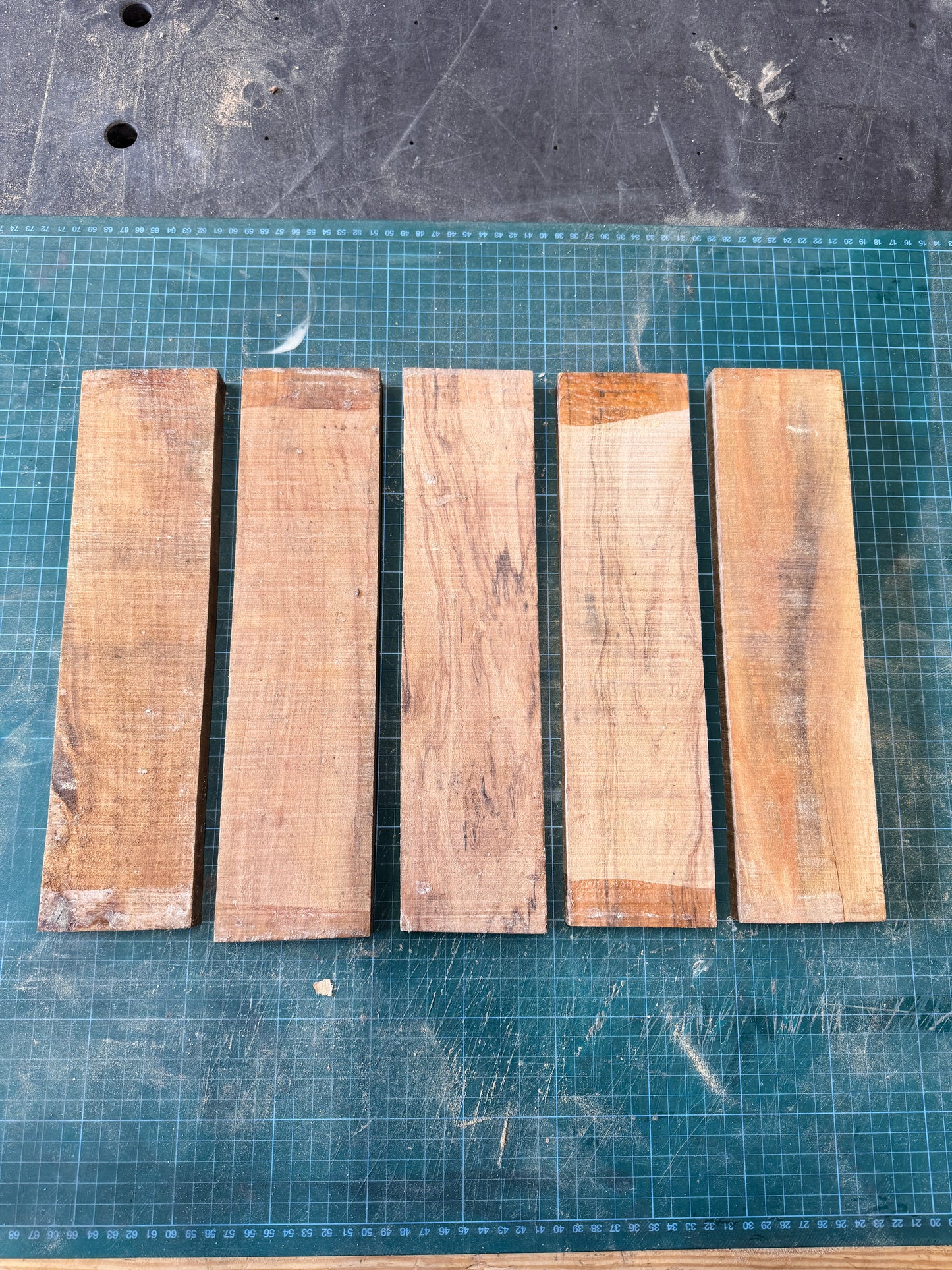 Olivewood Offcuts - OW08