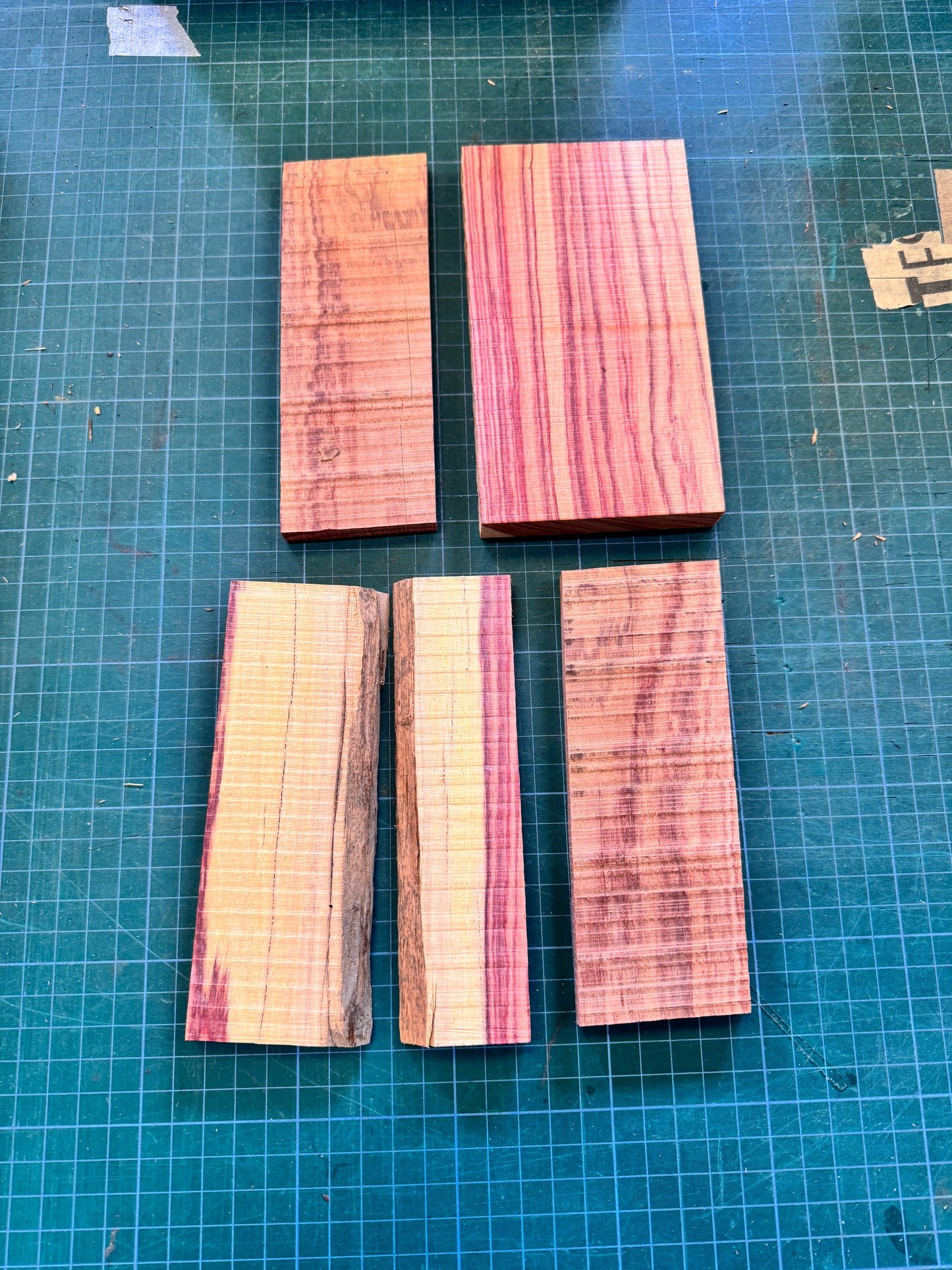 Brazilian Tulipwood Offcuts #7
