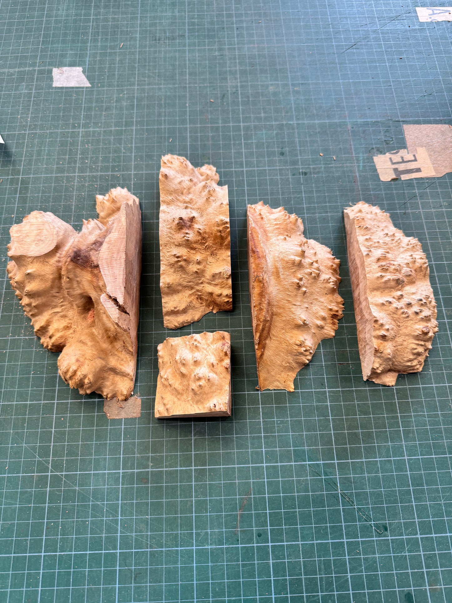 Goldfield Burr Offcuts #1
