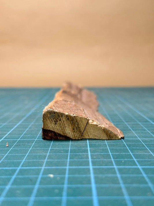 Brazilian Tulipwood Offcut